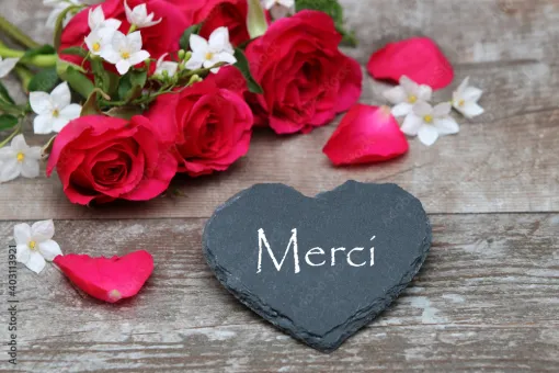 Témoignage à Porto Vecchio