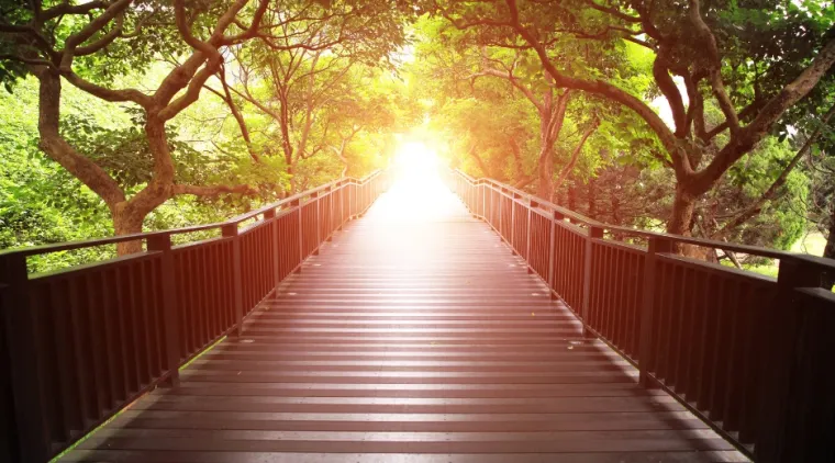 Suivre une séance de médiumnité pour explorer son chemin spirituel, Porto-Vecchio, Vert Émeraude